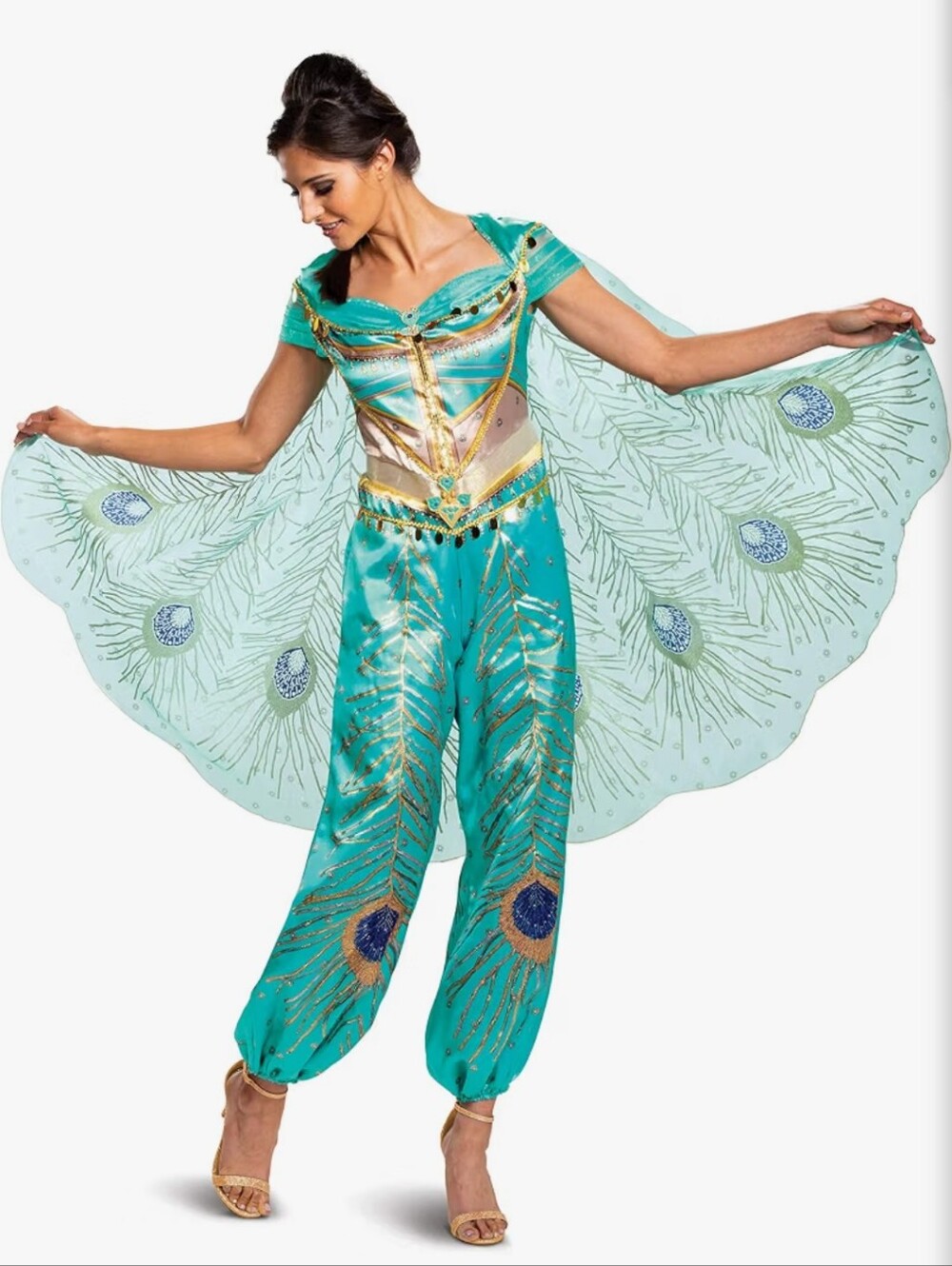 Princess Jasmine Adult Costunr with Sheer Detachable 2 Piece Cape Medium
